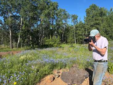 A man wearing a light cap and t-shirt photographs a wildflower meadow with a camera, surrounded by green trees under a bright blue sky.