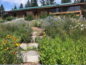 A charming house with a green roof sits behind a vibrant wildflower garden, featuring yellow, white, and blue blossoms along a stone pathway.