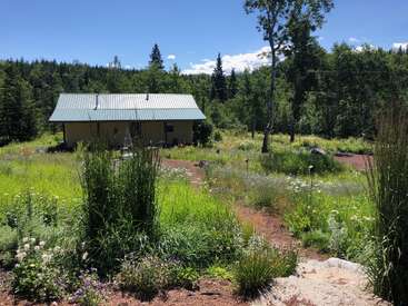 A small house with a green metal roof sits amidst tall grass, wildflowers, and trees, under a clear blue sky in a peaceful, rural setting.