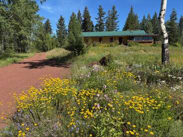 A rustic house with a green roof sits among tall trees and wildflowers. A winding red dirt path leads to the peaceful, sunlit countryside scene.