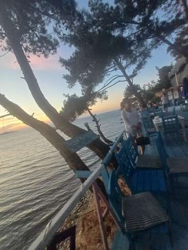 Une femme se tient près de chaises bleues dans un restaurant de bord de mer en plein air, entouré de pins, alors que le soleil se couche, créant une atmosphère paisible et détendue.