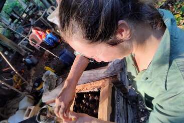 A woman, wearing a green shirt, works outdoors handling a jar near a wooden box filled with dark objects. Sunlight illuminates her and surrounding tools.