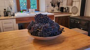 A large bowl of fresh purple grapes sits on a wooden kitchen counter, surrounded by rustic decor, bottles, utensils, a stove, and a window.