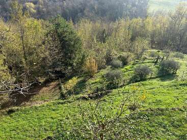 A sunlit hillside covered in lush green grass and small bushes, bordered by wooden fences, merges into a dense forest of vibrant trees in the background.