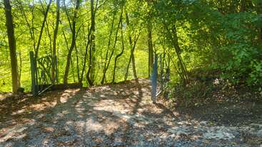 A sunlit forest path passes through an open metal gate, surrounded by lush green trees. Dappled light and shadows create a tranquil, inviting woodland scene.