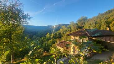 Essa imagem serena mostra uma casa rústica aninhada entre árvores verdes e exuberantes em uma encosta, sob um céu azul claro, com a luz do sol iluminando a paisagem.