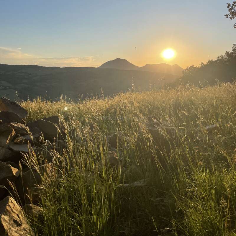 O pôr do sol dourado ilumina a grama alta de um campo tranquilo, com um primeiro plano rochoso, colinas distantes e montanhas recortadas contra um céu límpido e sereno. A serenidade da natureza prevalece.