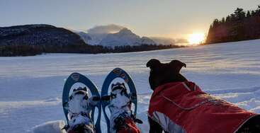 Das Bild zeigt eine heitere Winterszene mit den Beinen und Füßen einer Person in einer Schneehose, die auf einer verschneiten Fläche steht und ein Paar Skier hinter sich hat.