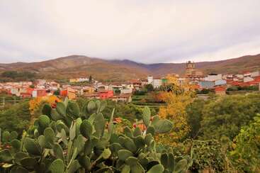 Das Bild zeigt eine ruhige Landschaft mit einer Gruppe von Bäumen und einem Gewässer, die ein Gefühl von Ruhe und natürlicher Schönheit hervorrufen. Die Szene spielt wahrscheinlich in einem Park oder Wald.