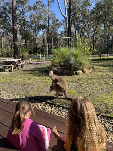 Zwei Kinder sitzen auf einem Holzdeck und beobachten ein Känguru mit einem Jungtier in seinem Beutel. Im Hintergrund sind Bäume, Spielgeräte und die Sonne zu sehen.