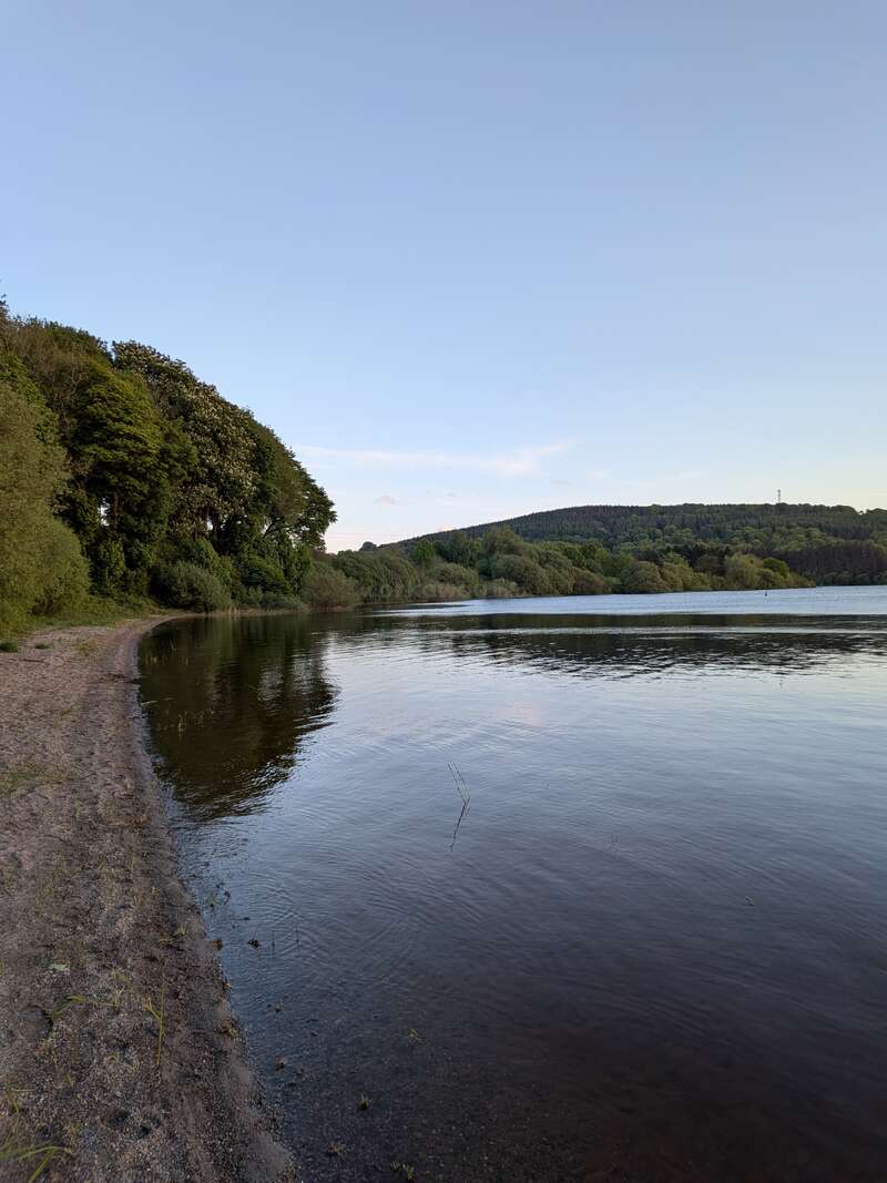 A serene lakeshore curves gently, bordered by lush green trees and calm waters, under a clear blue sky. Peaceful and inviting, nature’s beauty shines.