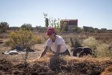 Une personne portant une casquette rouge et une chemise blanche travaille à l'extérieur, répandant de la paille dans un paysage rural sec avec des buissons épars, des arbres lointains et un petit bâtiment.