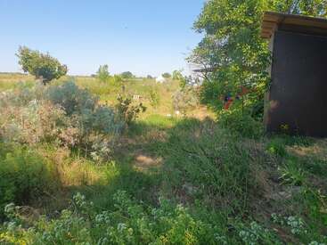 Cette image montre un jardin herbeux et envahi par la végétation, avec des buissons épars, de petits arbres, un ciel bleu clair et une simple cabane sur le côté droit. Un cadre paisible.