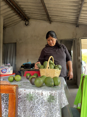 A woman arranges avocados in a basket on a lace-covered table inside a rustic room, surrounded by various household items and natural light from outside.