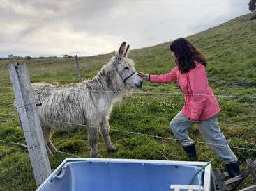 A woman in a pink raincoat pets a fluffy donkey through a wire fence on a green hillside under a cloudy sky, wearing boots and smiling.