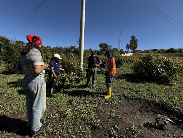Four people stand in a sunny, green field having a discussion. They are dressed casually, some with hats and boots. Clear blue sky, power pole present.