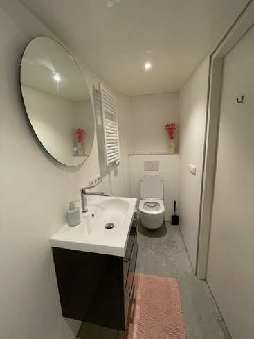 Dies ist ein modernes, minimalistisches Badezimmer mit einem runden Spiegel, einem weißen Waschbecken, einer wandmontierten Toilette, einem rosa Teppich, weißen Wänden und dekorativen rosa Blumen in zwei Ecken.