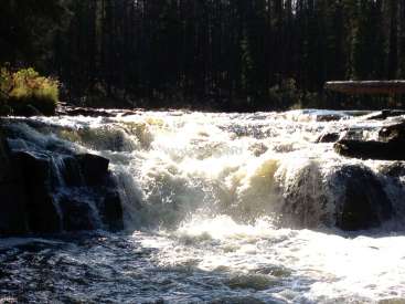 La imagen representa una cascada con una gran cantidad de agua que fluye por el borde, rodeada de árboles y rocas en el fondo.