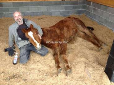 La imagen muestra a un hombre sentado en el suelo, acariciando a un caballo marrón con una raya blanca en la cara, en un establo.