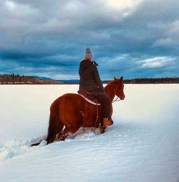 Una persona monta un caballo marrón a través de la nieve profunda, mirando hacia la derecha, con un cielo nublado y montañas y árboles distantes en el fondo.