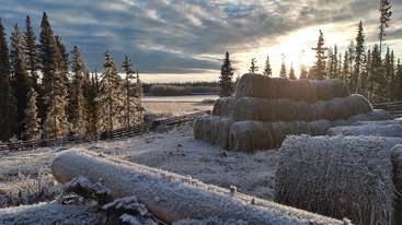 La imagen representa un paisaje sereno con un campo de pacas de heno, una masa de agua y un cielo despejado, que evoca una sensación de paz y tranquilidad. Es probable que la escena esté ambientada en una zona rural.