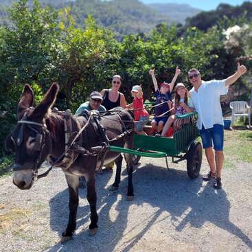 A cheerful family enjoys a sunny day outdoors, riding a green wagon pulled by a donkey, surrounded by lush greenery and distant mountains under blue skies.