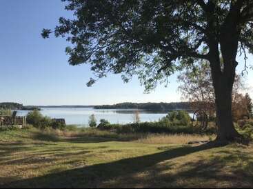 A serene lakeside scene with calm water, grassy area, large tree casting shade, and distant forested shoreline under a clear blue sky, evoking peaceful, natural beauty.