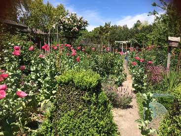 La imagen representa una serena escena de jardín, con diversas plantas, como flores rosas, arbustos verdes y árboles, sobre un cielo azul con nubes blancas.