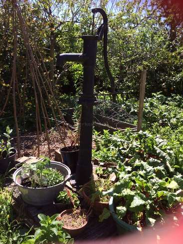 La imagen representa una escena de jardín rústico, con una bomba de pozo, plantas en macetas y un enrejado, sobre un fondo de árboles y cielo azul.