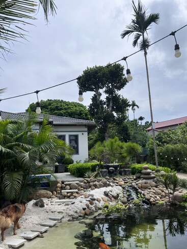 Un jardin tropical comprend un étang avec des poissons, une petite cascade et de la verdure luxuriante. Des guirlandes lumineuses sont suspendues au-dessus de la tête et un chien s'ébat près de l'eau.