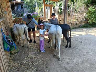 A child and two adults brush two donkeys in a rustic, outdoor farm setting with wooden fences, green plants, and a small wooden building nearby.