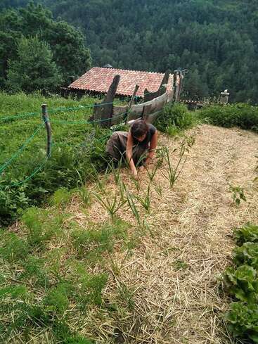 Una mujer cuida las plantas de un jardín, rodeada de exuberante vegetación y una valla rústica, con un encantador edificio de tejados rojos al fondo.