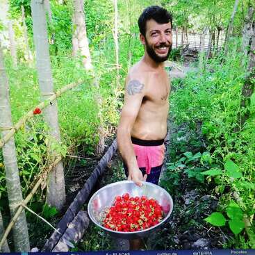 Un hombre sonriente y sin camiseta está de pie en un frondoso jardín, sosteniendo un gran cuenco lleno de tomates cherry recién recolectados. La luz del sol se filtra entre el verde follaje.