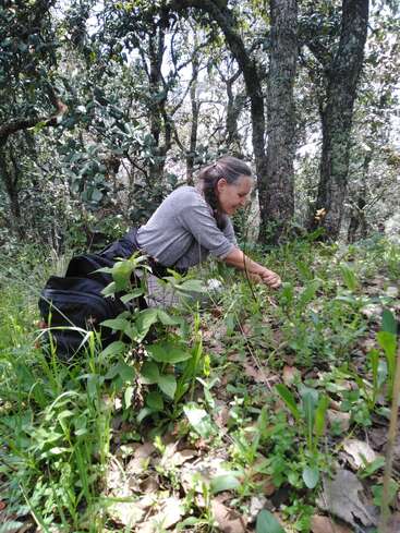 Une femme est accroupie dans une zone boisée, entourée d'arbres et de verdure, avec un sac noir posé sur le sol derrière elle.
