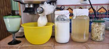 The image shows various homemade fermented foods and drinks on a kitchen counter, including a green beverage, straining cheese, kefir, kombucha, and a jar of sauerkraut.