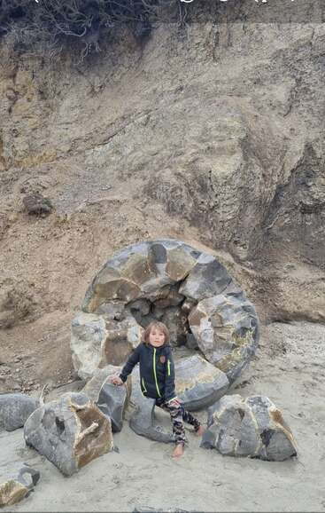 A young child poses barefoot in front of a giant, cracked fossil embedded in rocky earth. The scene is natural, earthy, and ancient, evoking curiosity.