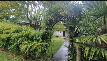 This image shows a lush, green garden with an arched trellis covered in vines, leading to a house along a wet, winding path on a rainy day.