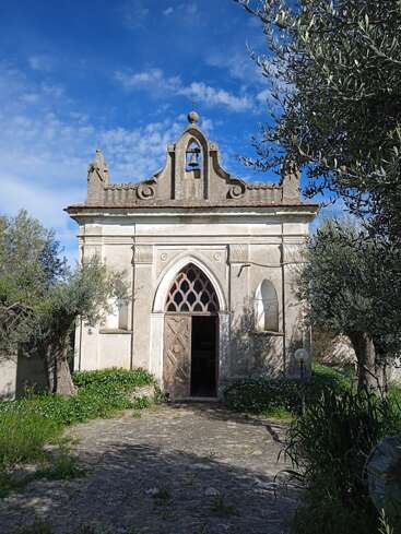 A charming old chapel stands under a bright blue sky, surrounded by olive trees and overgrown grass, featuring a weathered wooden door and a bell tower.