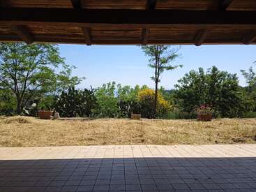 Under a wooden roof, a tiled patio overlooks a sunny garden with cacti, potted plants, trees, and lush greenery beneath a clear, blue summer sky.