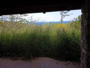 The image shows a tiled patio under a shaded roof, overlooking an overgrown garden with tall grasses and wild plants. Blue sky and ocean are visible beyond.