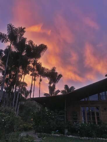 De grands palmiers encadrent une maison en bois au crépuscule. Le ciel s'illumine de nuances spectaculaires d'orange, de rose et de violet, créant une scène tropicale paisible.