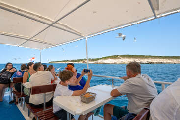 A group of people enjoy a boat ride under a canopy, watching and photographing seagulls flying over the blue sea near a scenic, rocky coastline.