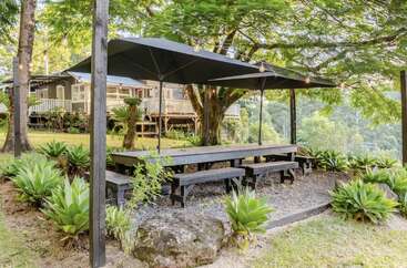 A beautiful outdoor dining area with black picnic tables and benches under large umbrellas, surrounded by greenery and plants, near a charming house in nature.