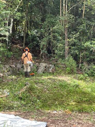 A person wearing protective gear is using a grass trimmer in front of a dense forest. Freshly cut grass and outdoor equipment are visible nearby.