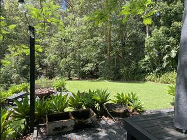 A peaceful backyard scene featuring a lush green lawn, vibrant plants, a wooden bench, rustic planter, string lights, and dense forest trees bathed in sunlight.