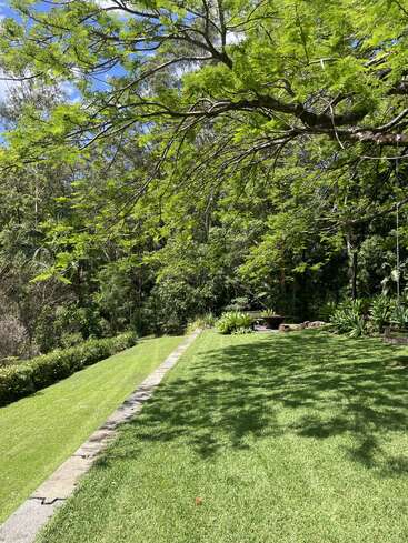 A lush green garden with neatly mowed grass, overhanging tree branches, stone pathway, flourishing plants, and serene trees under a bright blue sky with clouds.