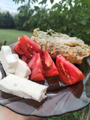 Ein Teller mit Tomatenscheiben, Weißkäsewürfeln und Kräuterbrotstücken steht im Freien vor einem grünen, blattreichen Hintergrund und weichem Tageslicht.