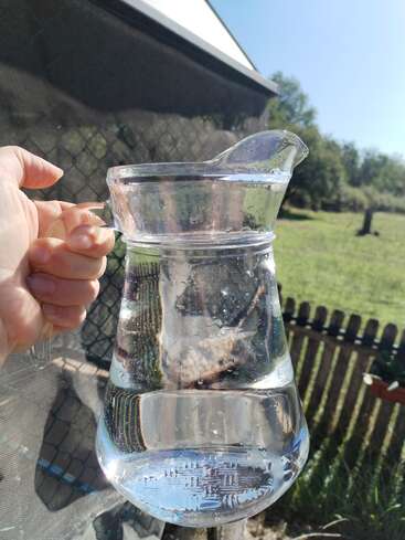 Eine Hand hält einen mit Wasser gefüllten Krug aus Klarglas im Freien. Das Sonnenlicht erzeugt Reflexionen. Im Hintergrund sind ein Zaun, Gras und einige Bäume unter einem blauen Himmel zu sehen.