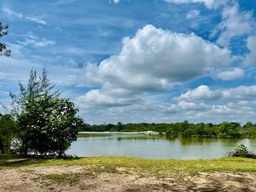 Ein ruhiger Blick auf den See mit üppig grünen Bäumen, stiller, spiegelglatter Wasseroberfläche, blauem Himmel und großen, flauschigen weißen Wolken – eine friedliche und einladende Naturkulisse.