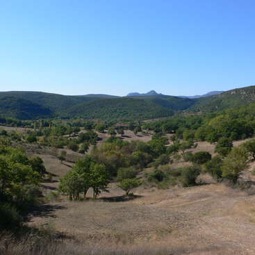 L'image représente un paysage serein composé de collines ondulantes, d'arbres et d'un ciel bleu clair, avec une chaîne de montagnes lointaine sous un ciel sans nuages.
